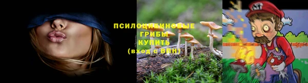 ALPHA PVP Горнозаводск