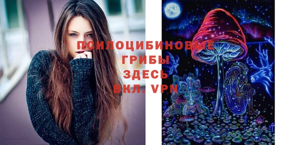 прущий лед Горняк