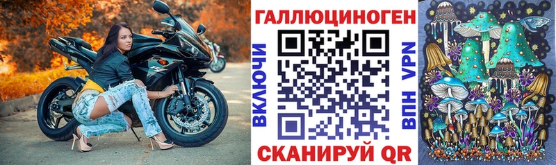 Псилоцибиновые грибы Psilocybine cubensis  Пестово 
